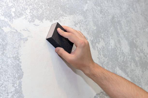 Trusted Douglas, AL Mold Removal Experts