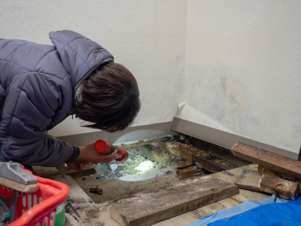 Best Air Quality Testing for Mold Spores  in Douglas, AL