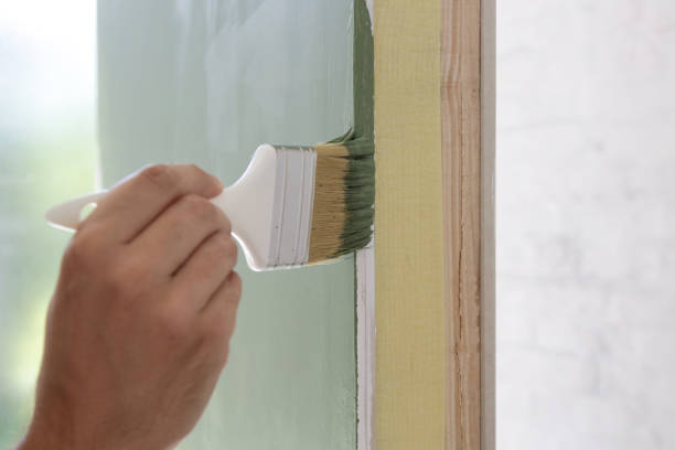 Best Mold Odor Removal Services  in Douglas, AL