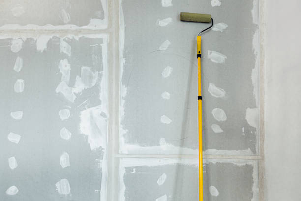 Best Biohazard Mold Removal  in Douglas, AL