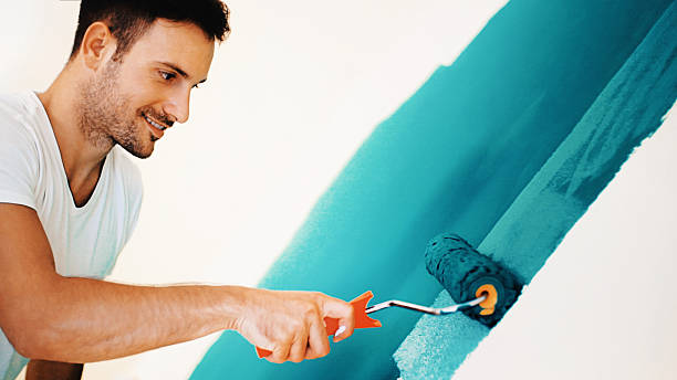 Best Basement Mold Removal  in Douglas, AL