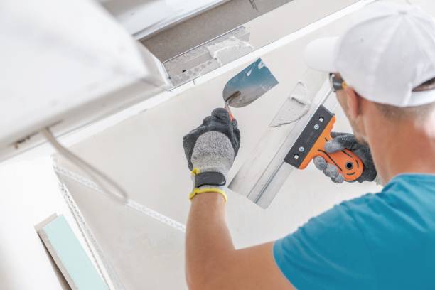 Best Air Quality Testing for Mold Spores  in Douglas, AL